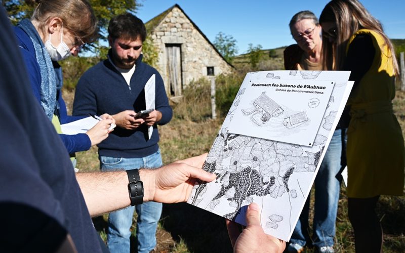 Media12-Burons Aubrac