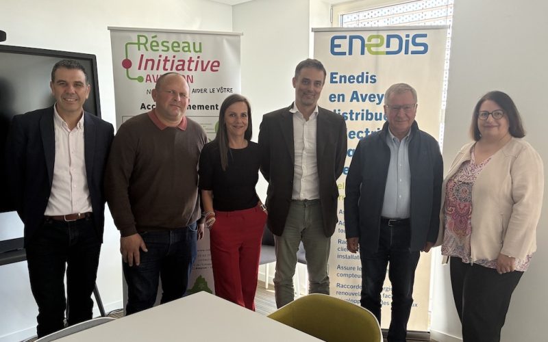 Media12-Enédis IA 26