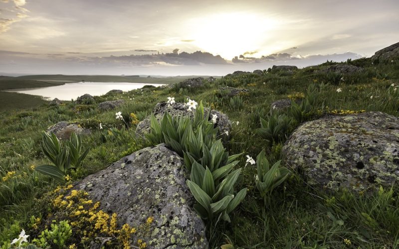 Media12-Natura 2000 Lozère