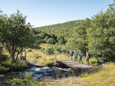 Media12-Rando Aubrac 26