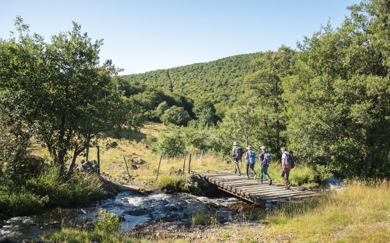 Media12-Rando Aubrac 26