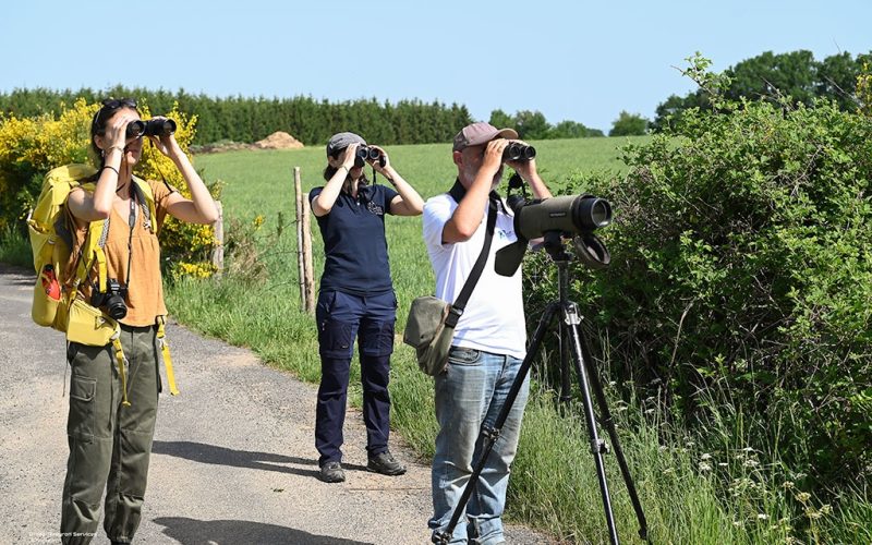 Media12-Sortie nature PNR (002)